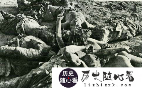 平阳惨案的文献 平阳惨案的内幕