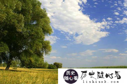 伊什特万一世的三项改革是什么?匈牙利是如何诞生的?