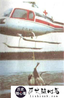 加拿大7000多头驯鹿渡河溺死