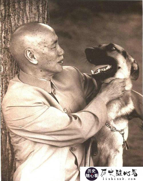 你们觉得看《曾国藩家书》有用吗？