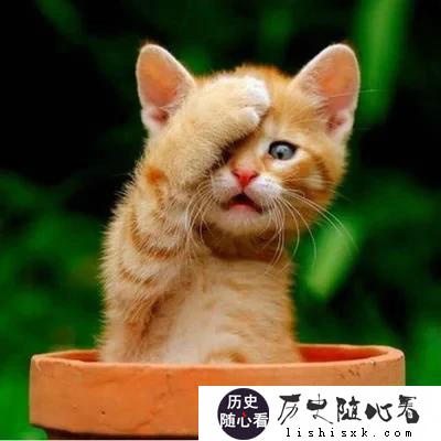 清朝满人为什么要永远禁止汉人进入东北？