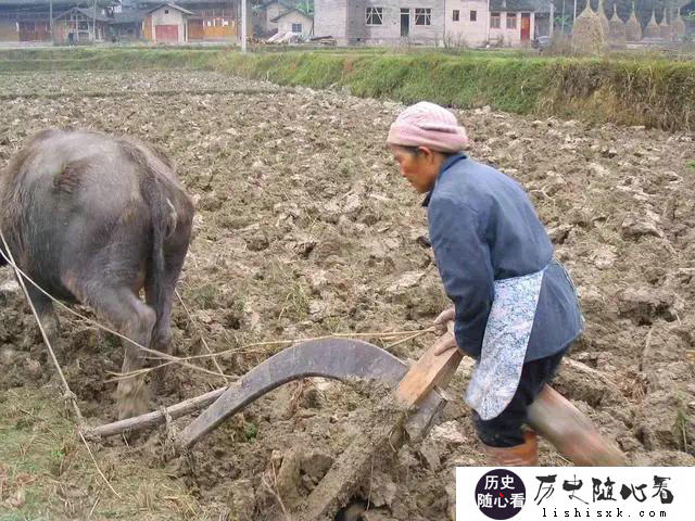 我国历史上农民的贡献有那些？