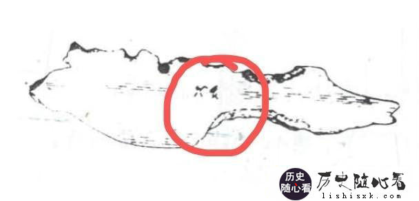 如何看待夏代一片卜骨上发现了两个字，很可能其中一字为“夏”？这可以证明夏朝的存在吗？