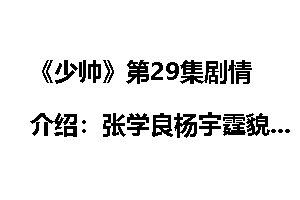 《少帅》第29集剧情介绍：张学良杨宇霆貌合神离