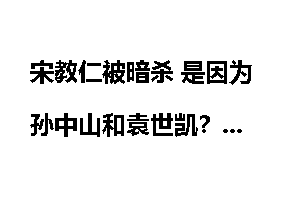 宋教仁被暗杀 是因为孙中山和袁世凯？