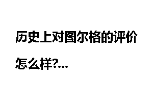 历史上对图尔格的评价怎么样?