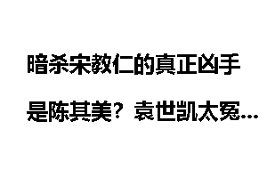 暗杀宋教仁的真正凶手是陈其美？袁世凯太冤枉