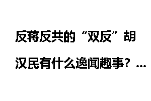 反蒋反共的“双反”胡汉民有什么逸闻趣事？