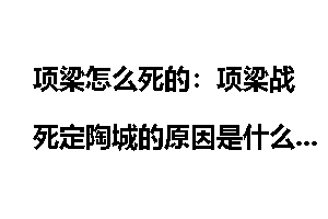 项梁怎么死的：项梁战死定陶城的原因是什么