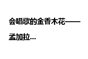 会唱歌的金香木花——孟加拉