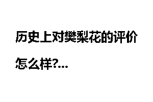 历史上对樊梨花的评价怎么样?