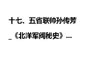 十七、五省联帅孙传芳_《北洋军阀秘史》