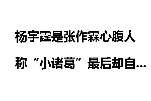杨宇霆是张作霖心腹人称“小诸葛”最后却自己作死