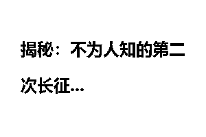 揭秘：不为人知的第二次长征