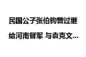 民国公子张伯驹曾过继给河南督军 与袁克文亲密