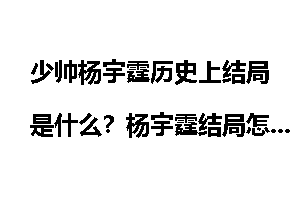 少帅杨宇霆历史上结局是什么？杨宇霆结局怎么死的