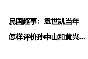 民国趣事：袁世凯当年怎样评价孙中山和黄兴的？