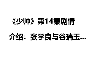 《少帅》第14集剧情介绍：张学良与谷瑞玉初遇