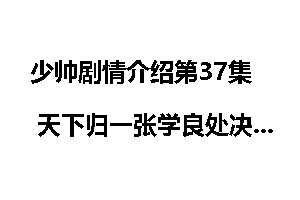 少帅剧情介绍第37集 天下归一张学良处决杨宇霆
