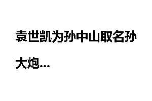 袁世凯为孙中山取名孙大炮