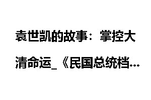 袁世凯的故事：掌控大清命运_《民国总统档案》