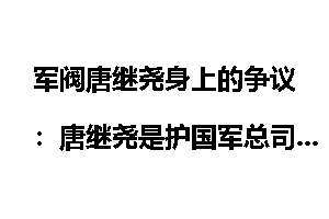 军阀唐继尧身上的争议：唐继尧是护国军总司令？