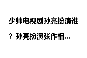少帅电视剧孙亮扮演谁？孙亮扮演张作相