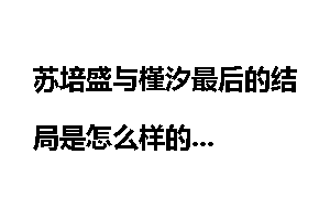 苏培盛与槿汐最后的结局是怎么样的