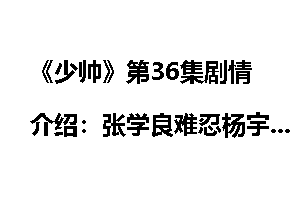 《少帅》第36集剧情介绍：张学良难忍杨宇霆