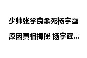 少帅张学良杀死杨宇霆原因真相揭秘 杨宇霆为什么被杀