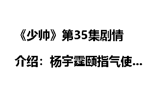 《少帅》第35集剧情介绍：杨宇霆颐指气使引不满