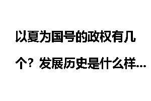 以夏为国号的政权有几个？发展历史是什么样的？