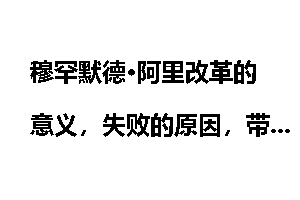 穆罕默德·阿里改革的意义，失败的原因，带来的影响