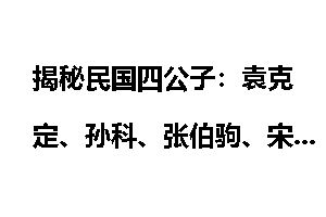 揭秘民国四公子：袁克定、孙科、张伯驹、宋子文