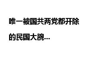 唯一被国共两党都开除的民国大腕