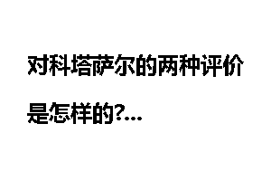 对科塔萨尔的两种评价是怎样的?