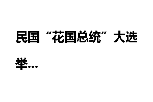 民国“花国总统”大选举