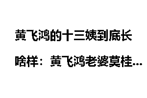 黄飞鸿的十三姨到底长啥样：黄飞鸿老婆莫桂兰
