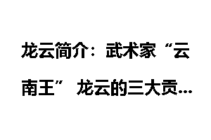 龙云简介：武术家“云南王” 龙云的三大贡献