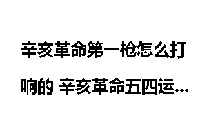 辛亥革命第一枪怎么打响的 辛亥革命五四运动联系