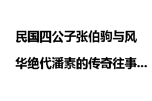 民国四公子张伯驹与风华绝代潘素的传奇往事