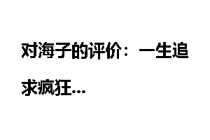 对海子的评价：一生追求疯狂