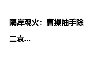 隔岸观火：曹操袖手除二袁