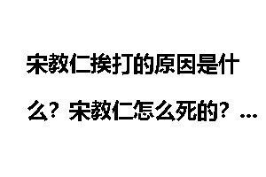 宋教仁挨打的原因是什么？宋教仁怎么死的？