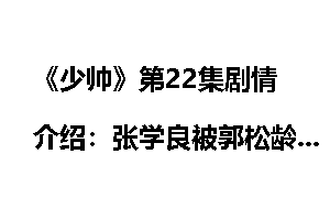 《少帅》第22集剧情介绍：张学良被郭松龄架空
